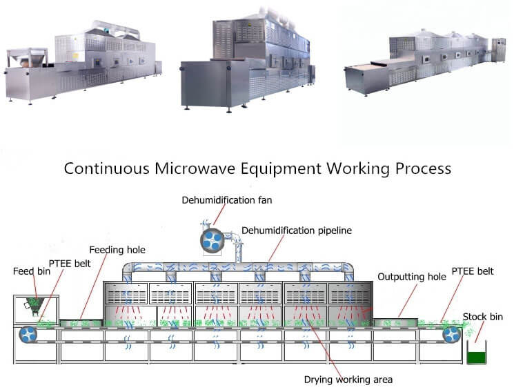 Advanced microwave food drying machine