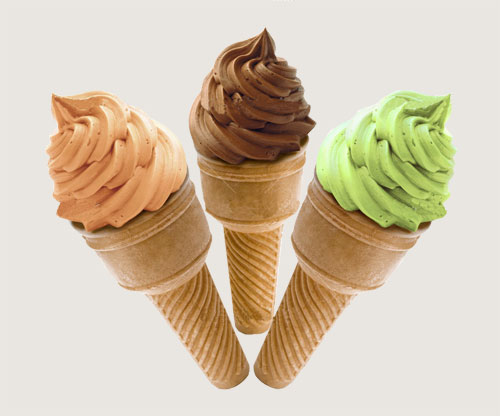 countertop ice cream machine helps making ice cream easy