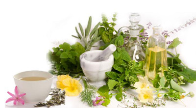 plant essential oil making machine