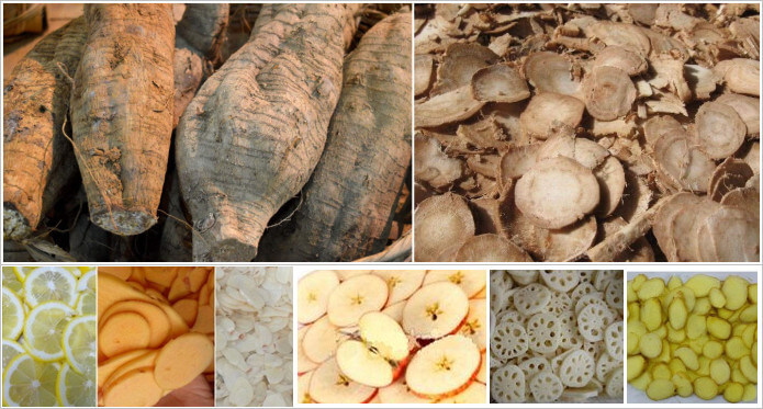 Pueraria slicing machine application