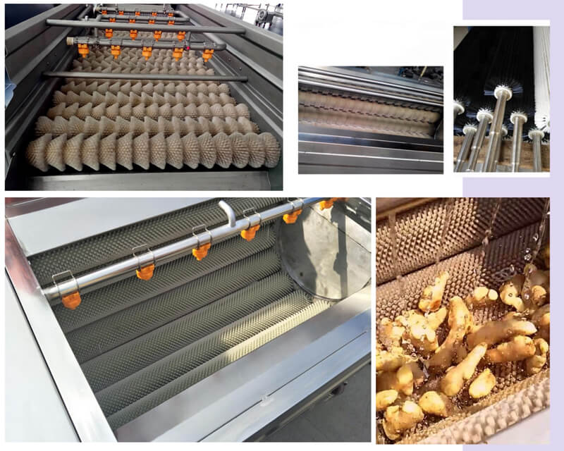 features of potato washing peeling machine