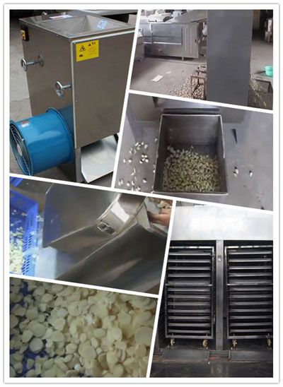 Dried Garlic Flake Production Line