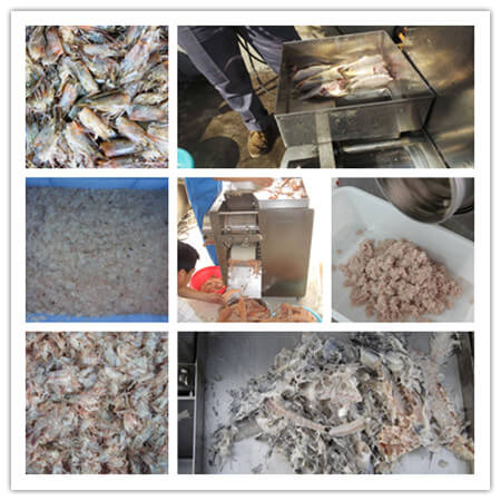 fish bone remover machine applications