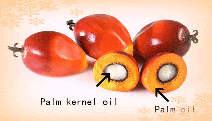 palm oil and palm kernel oil