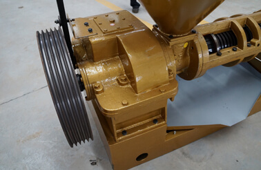 Belt driven of screw oil press