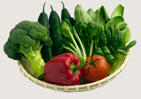 centrifugal hydro extractor