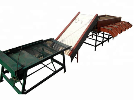 garlic sorting grading machine