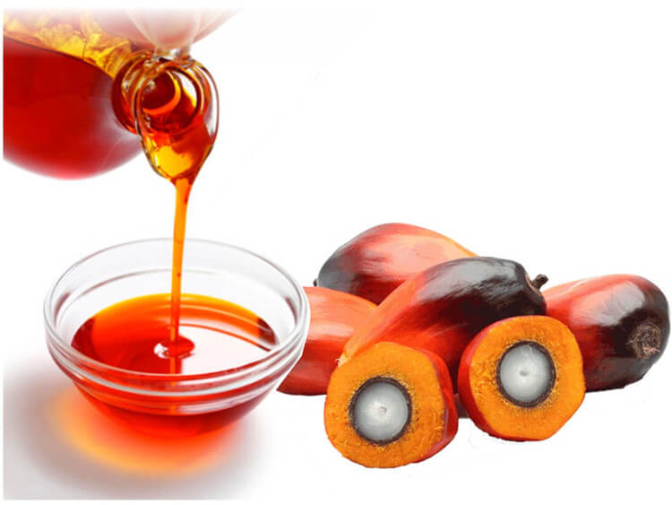 palm kernel oil Indonesia