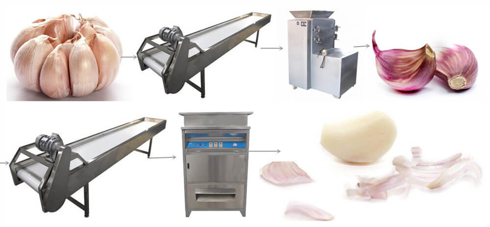 peeled garlic processing procedure