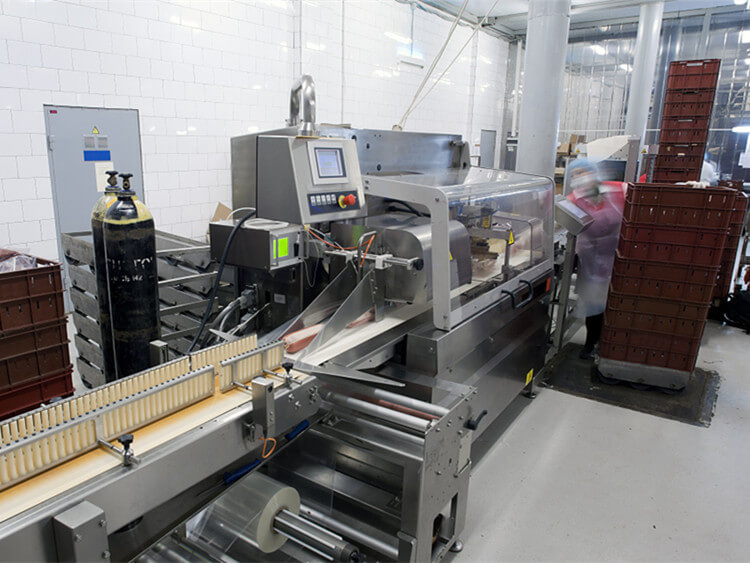 China meat processing machine
