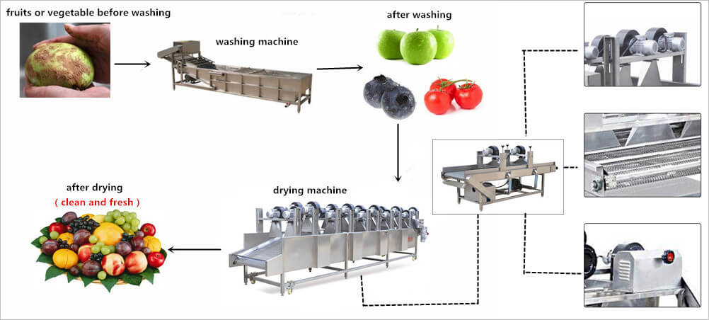 air flow food vegetable dehydrator drying machine