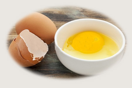 break eggs by automatic egg breaking machine