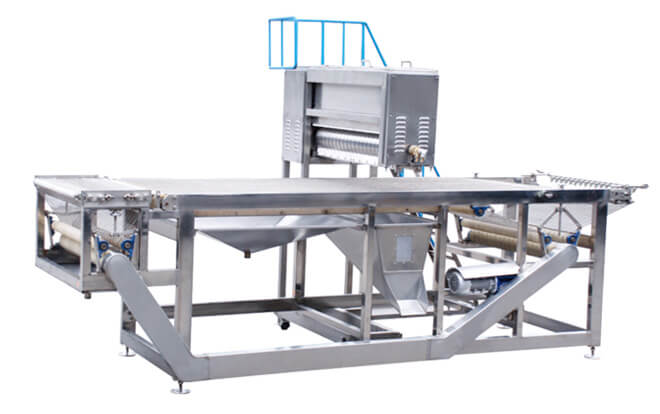 flavoring machine with conveyor