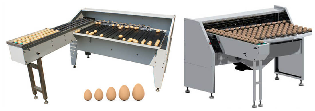 Automatic egg classifying machine for grading chicken duck eggs