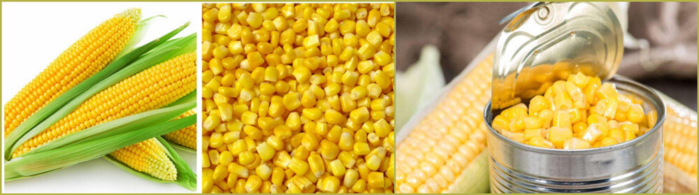 fresh corn cutting machine application