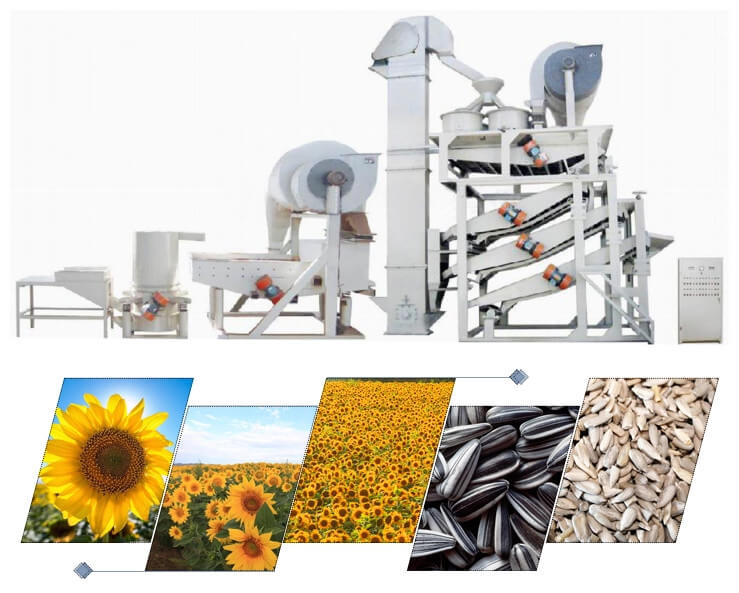 sunflower seeds shelling machine line