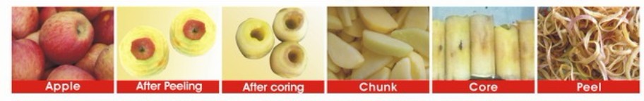 how to get peeled apple slices by automatic apple peeling machine