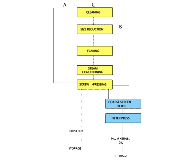 mechanical palm kernel oil pressing process in Indonesia