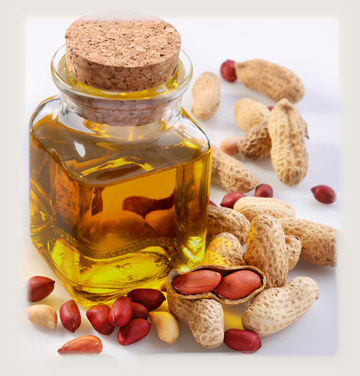 extracting oil by screw oil press