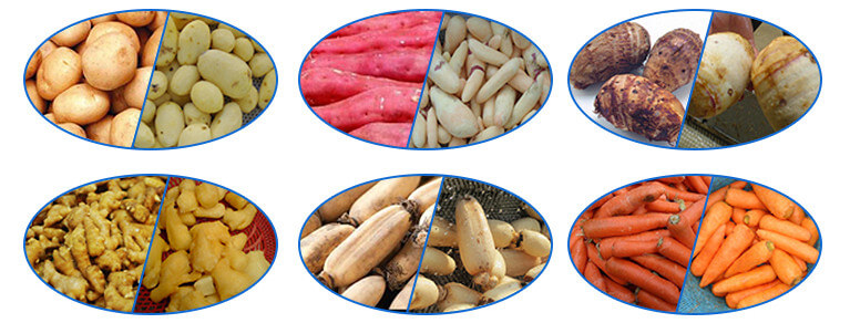 vegetbale rinsing machine application