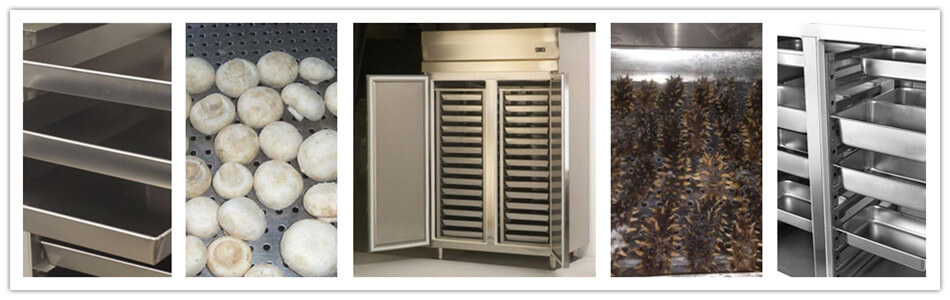 commercial upright freezer