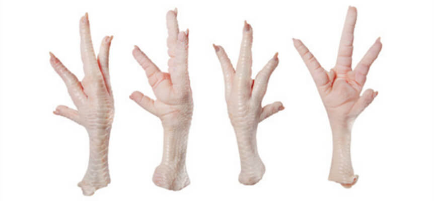 chicken feet cutting