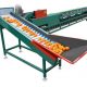 automatic fruit and vegetable sorting machine