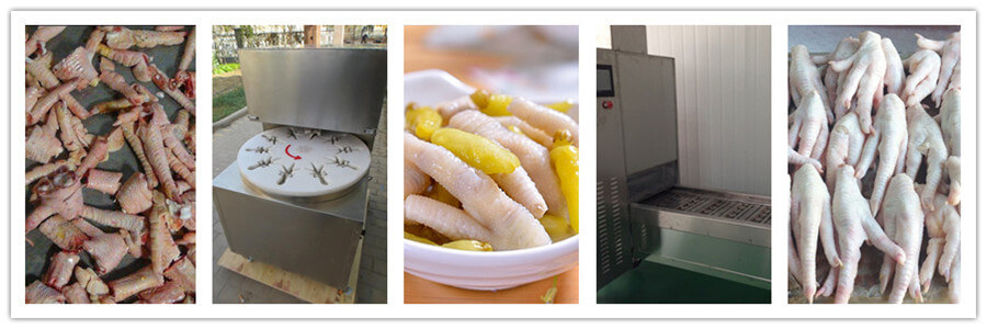 chicken feet cutting machine application