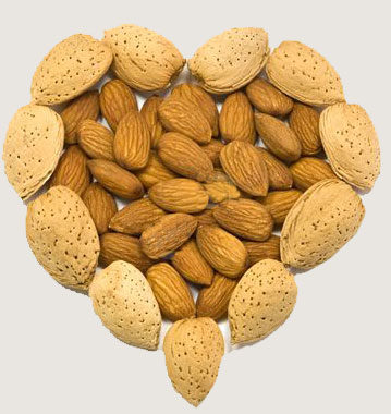 shell almond by almond shelling machine
