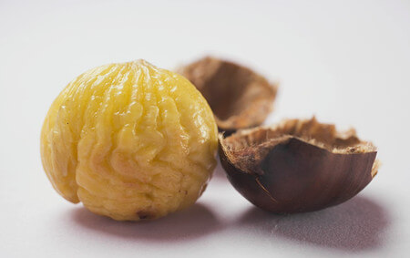 nutrient of chestnut