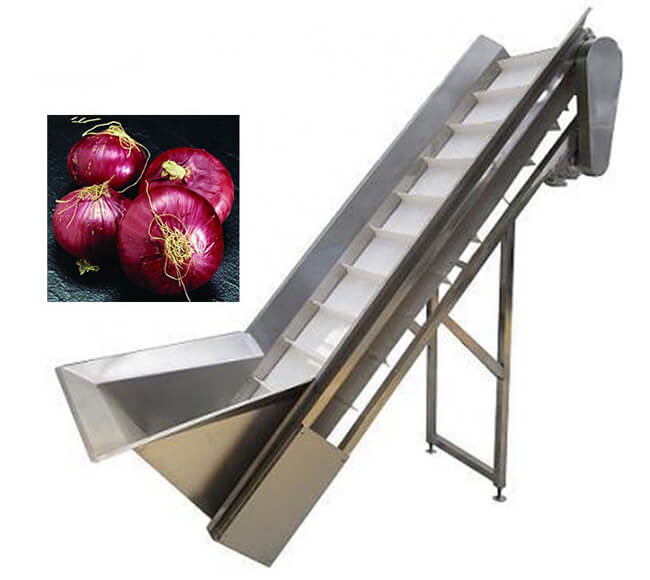 elevator for transporting onions for peeling