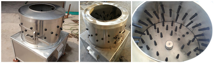 gizzard oil removing machine