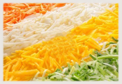 directional vegetable cutting machine for vegetable shreds