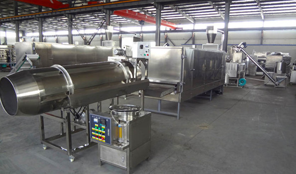 snacks manufacturing plant