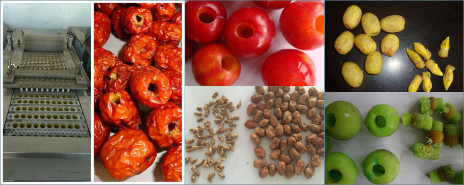 cherry pitter machine application