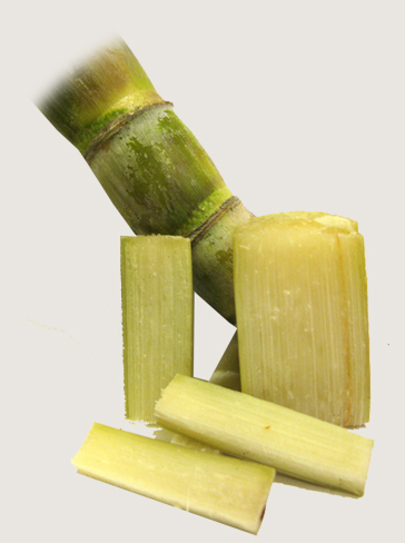 vertical sugarcane juice extractor helps enjoying sugarcane juice