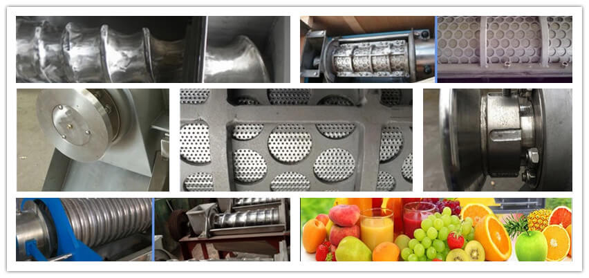 Fruit juicer machine details