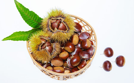 chestnut benefits