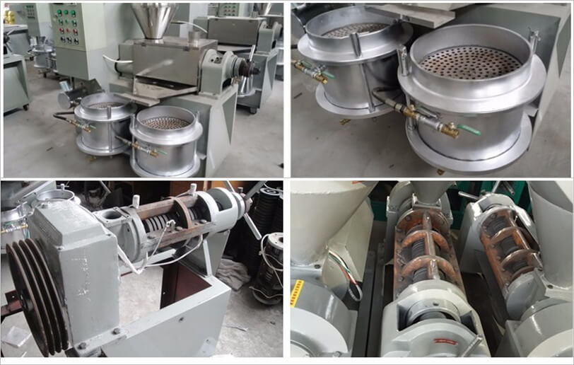 automatic oil press features