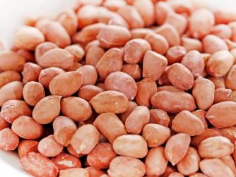 sesame roasting machine