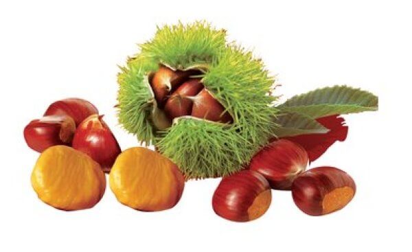 vhow to choose good chestnuts