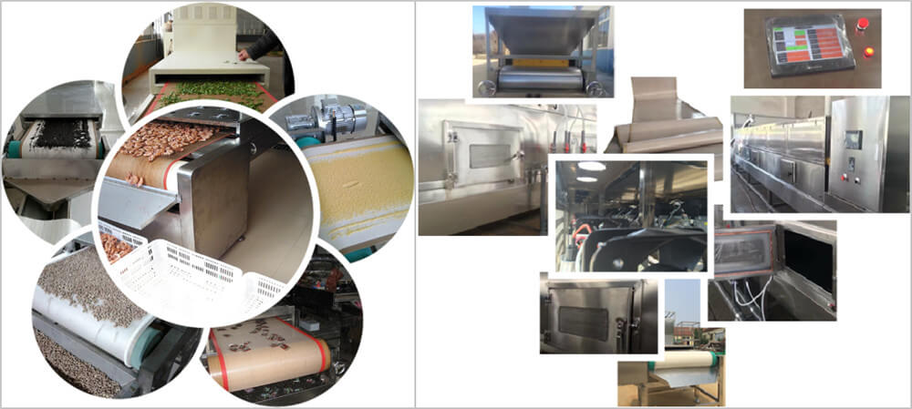 microwave fruit dryer machine application and features