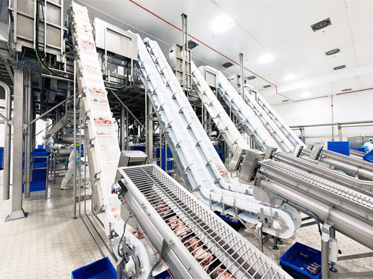 food processing equipment