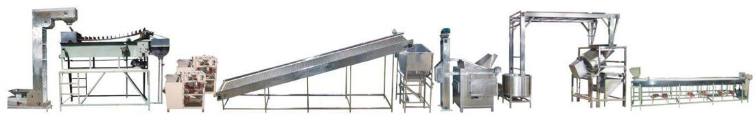 Fried Peanuts Making Line