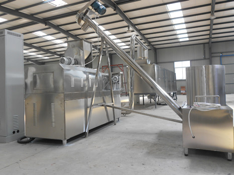 snack food processing equipment