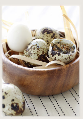 process quail eggs by quail egg processing line