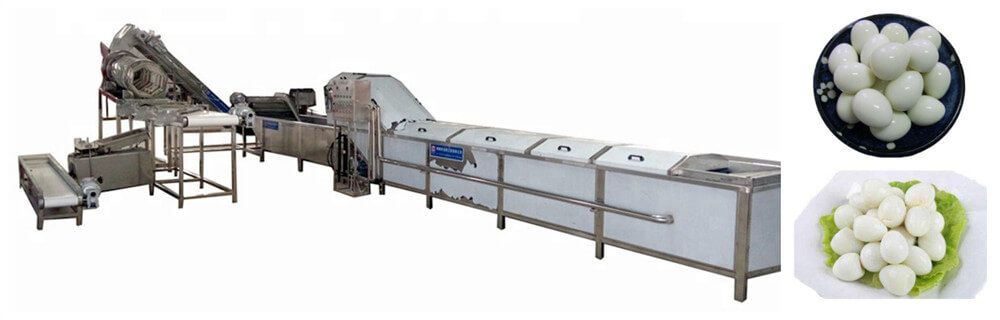 Amisy quail eggs processing line