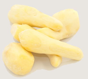 vegetable washing and peeling line for ginger processing