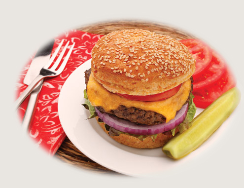 make burger patty by automatic hamburger patty formig machine