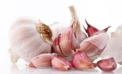 garlic_for_processing